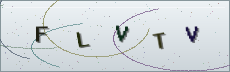 Codice anti-spam